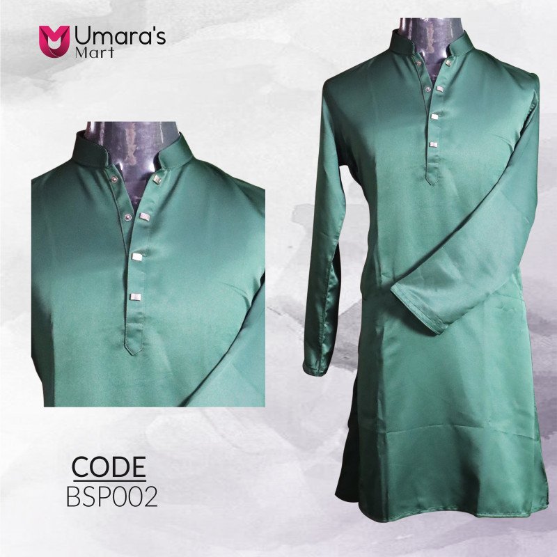 Standard Panjabi - BSP02