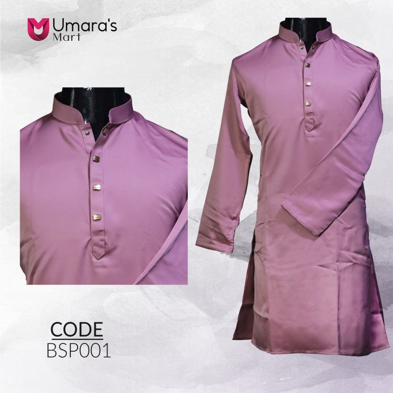 Standard Panjabi - BSP01