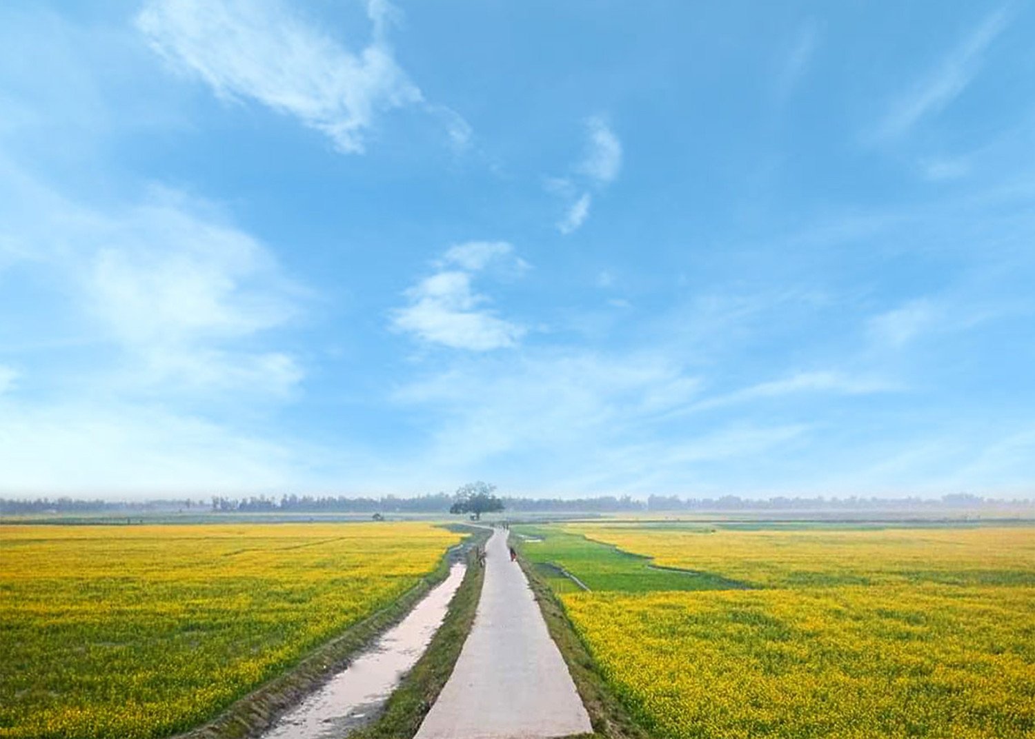 উমারা’স ন্যাচারাল এসেন্স