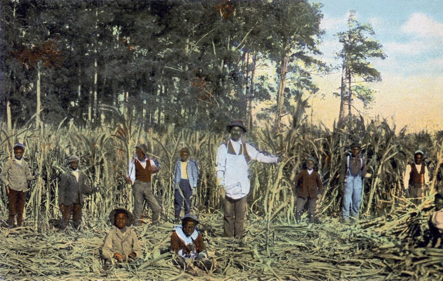 আঁখের অজানা তথ্য!!